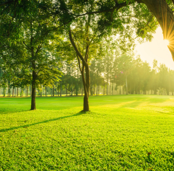 Farm plot in Mysore